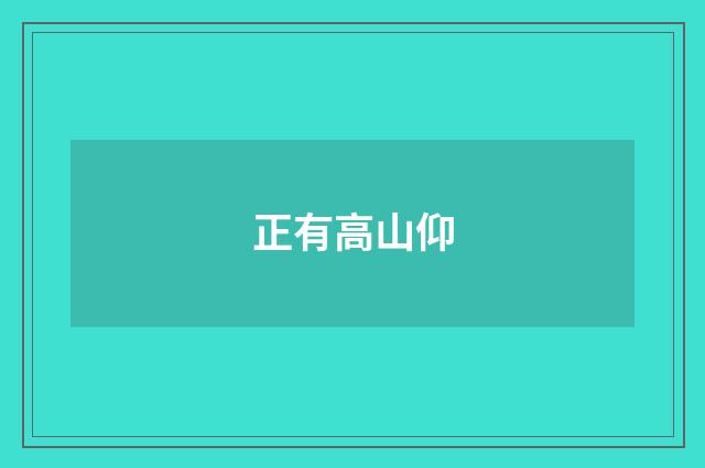 正有高山仰