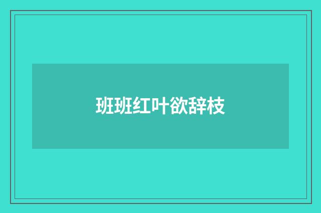 班班红叶欲辞枝