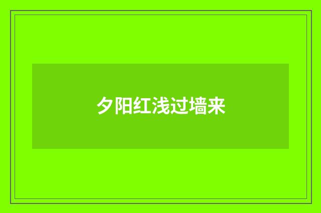 夕阳红浅过墙来
