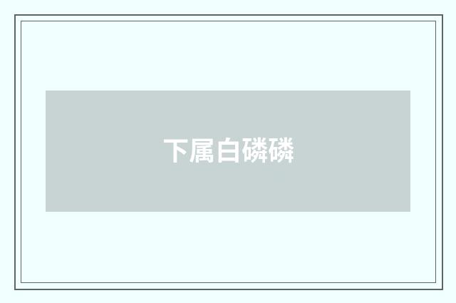 下属白磷磷