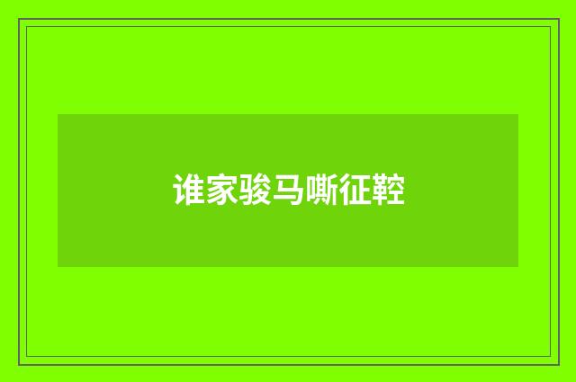 谁家骏马嘶征鞚