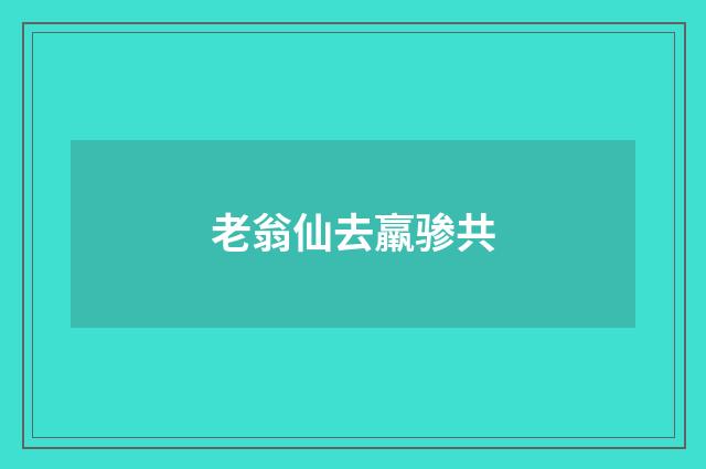 老翁仙去羸骖共