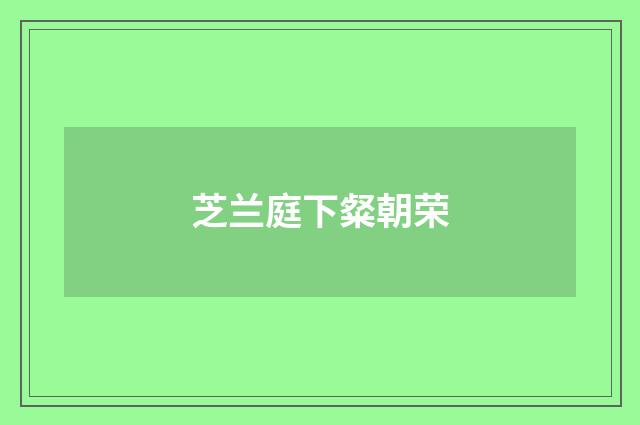 芝兰庭下粲朝荣