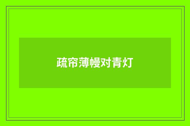 疏帘薄幔对青灯