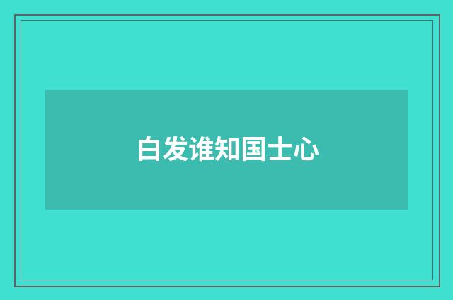 白发谁知国士心