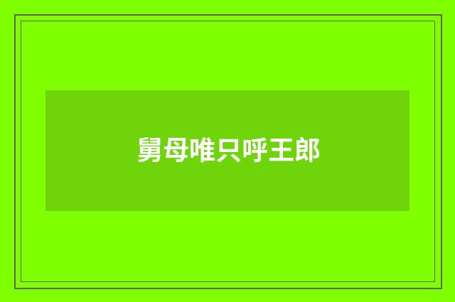 舅母唯只呼王郎