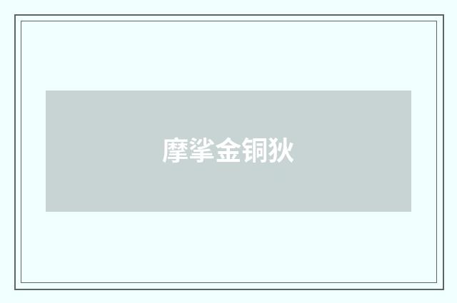 摩挲金铜狄