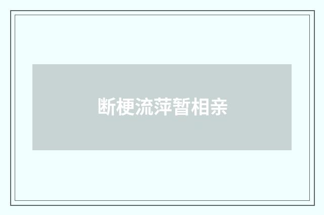 断梗流萍暂相亲