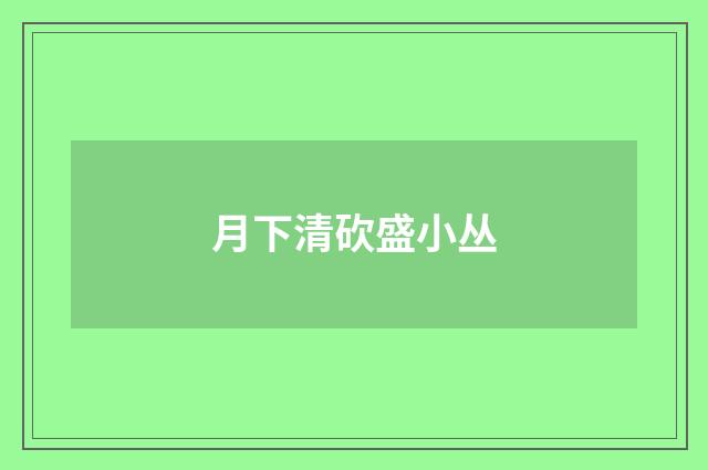 月下清砍盛小丛