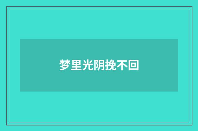梦里光阴挽不回