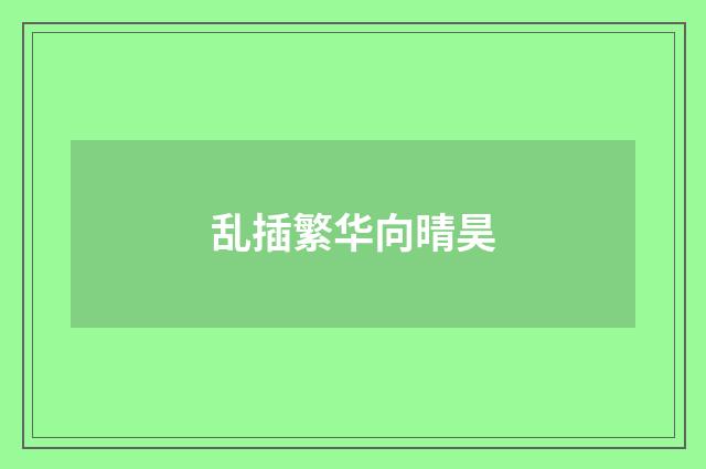 乱插繁华向晴昊