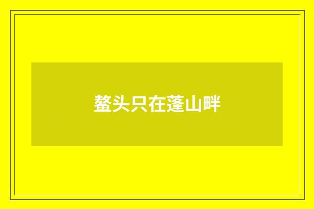 鳌头只在蓬山畔