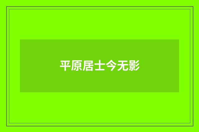 平原居士今无影