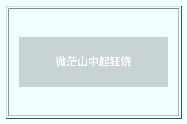 微茫山中起狂烧
