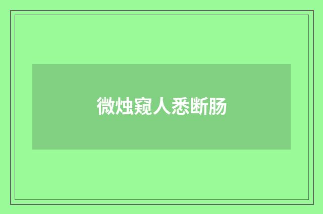 微烛窥人悉断肠
