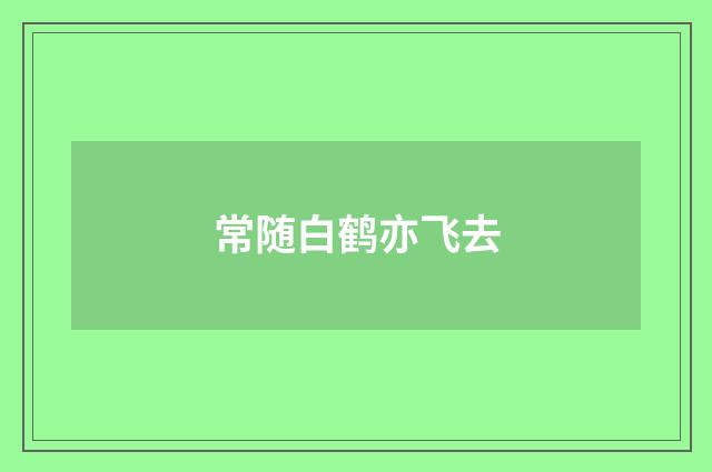 常随白鹤亦飞去