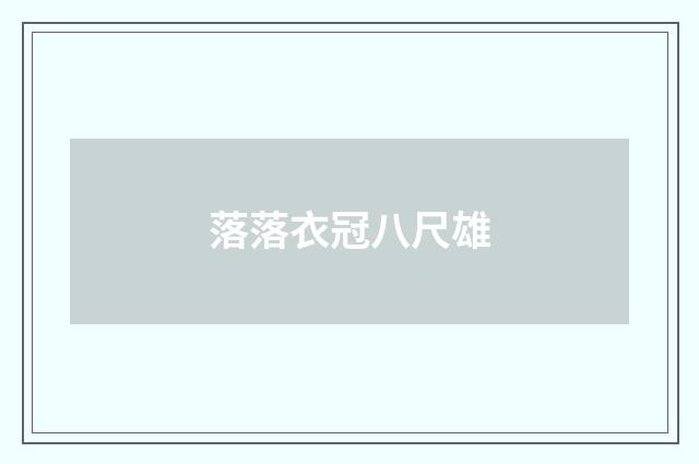 落落衣冠八尺雄