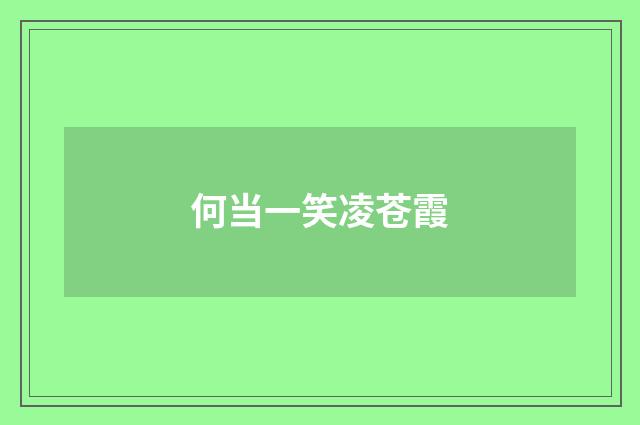 何当一笑凌苍霞