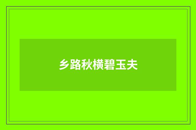 乡路秋横碧玉夫