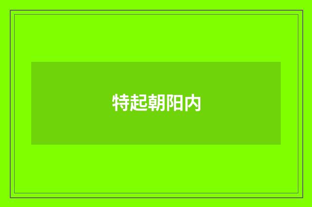 特起朝阳内