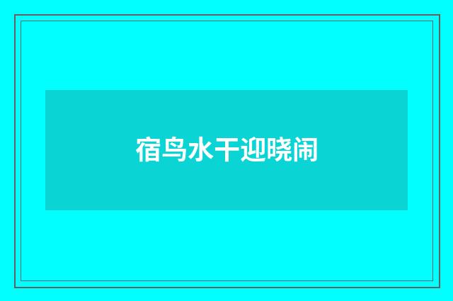 宿鸟水干迎晓闹