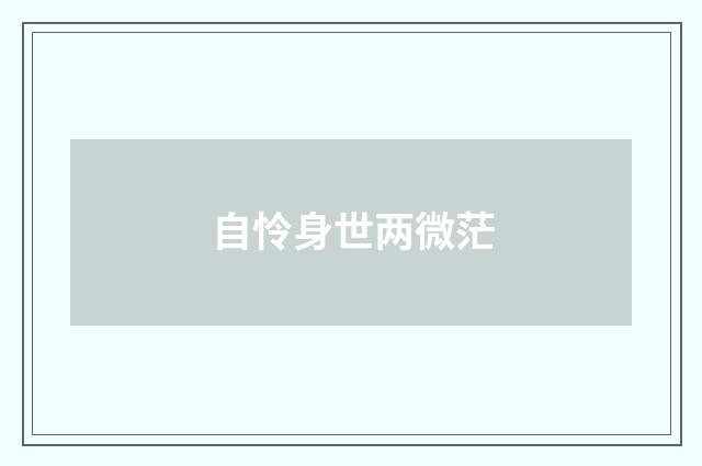 自怜身世两微茫