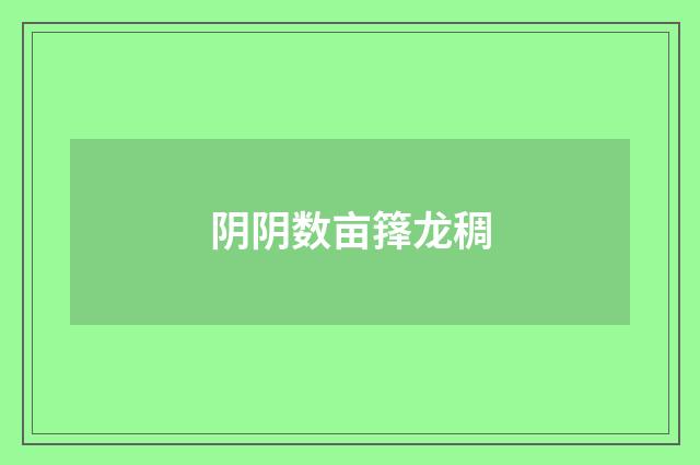 阴阴数亩箨龙稠