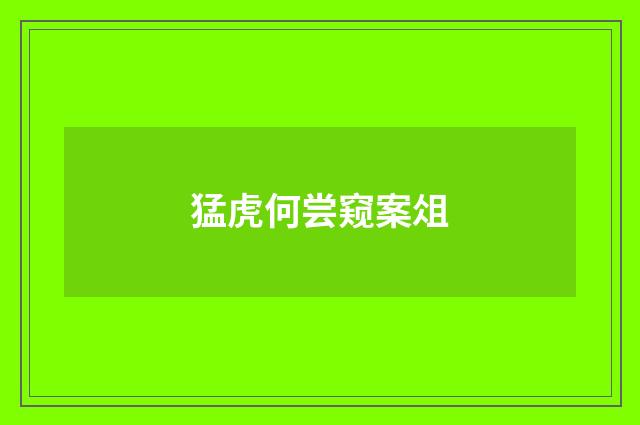 猛虎何尝窥案俎