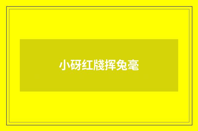 小砑红牋挥兔毫