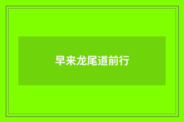 早来龙尾道前行