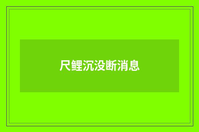 尺鲤沉没断消息