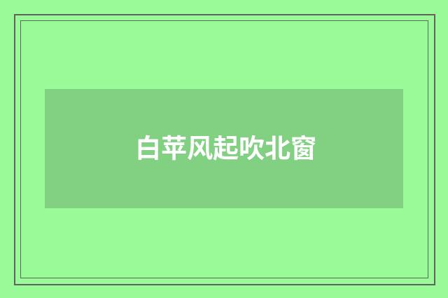 白苹风起吹北窗