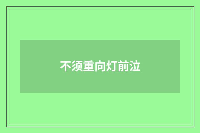 不须重向灯前泣