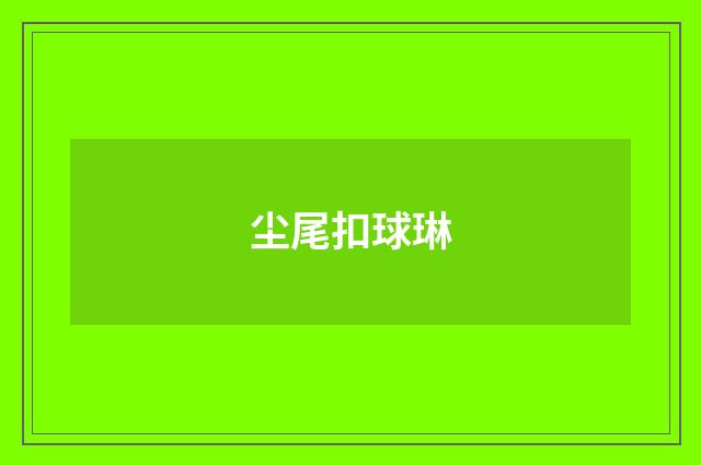 尘尾扣球琳