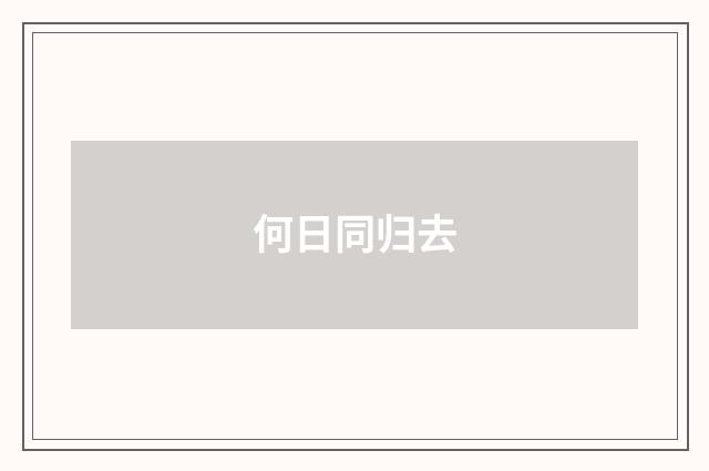 何日同归去