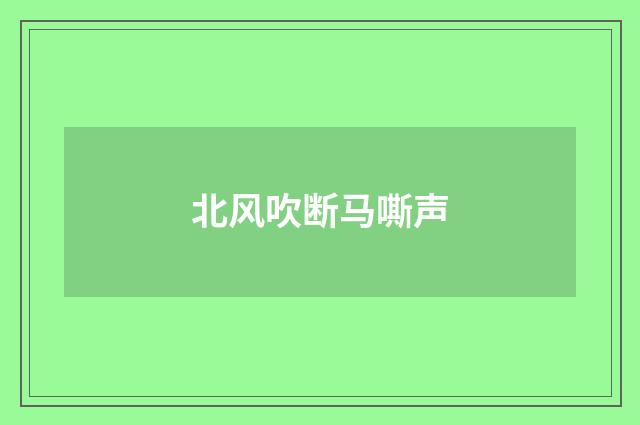 北风吹断马嘶声