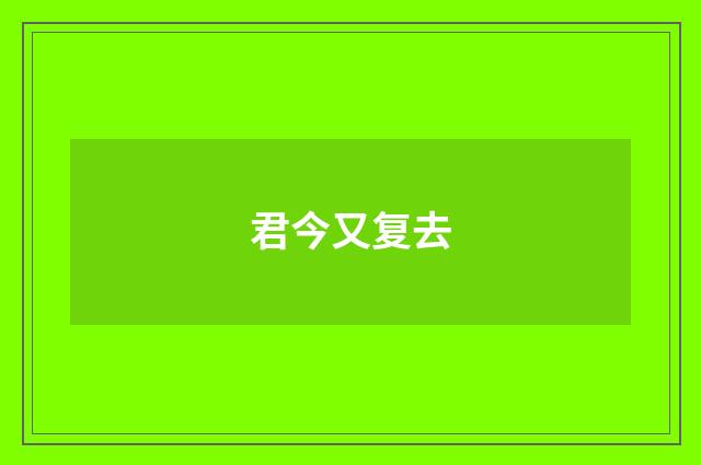 君今又复去