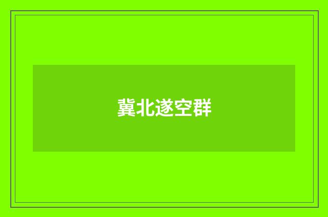 冀北遂空群