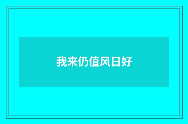 我来仍值风日好