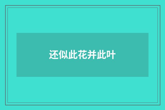 还似此花并此叶
