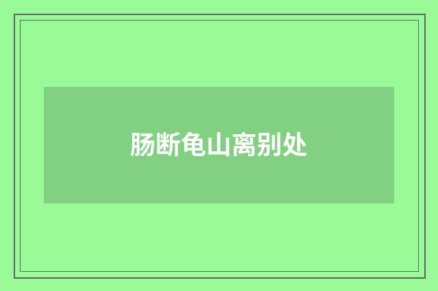 肠断龟山离别处