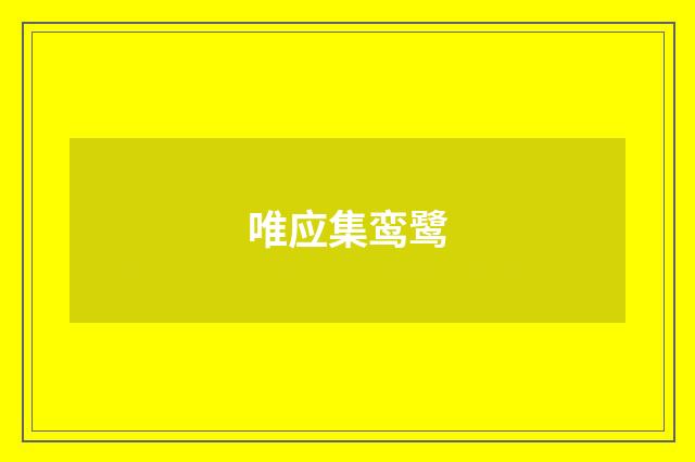 唯应集鸾鹭