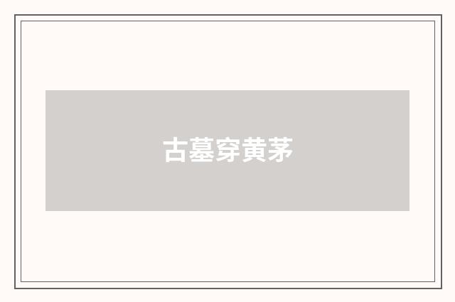 古墓穿黄茅