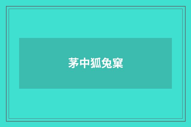 茅中狐兔窠