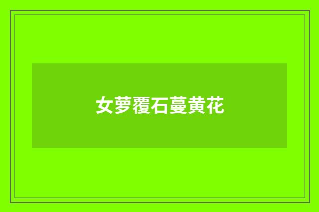 女萝覆石蔓黄花