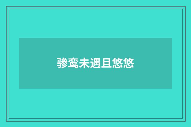 骖鸾未遇且悠悠