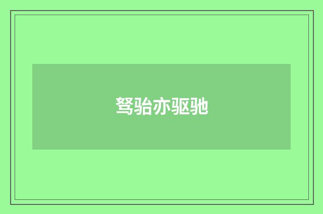 驽骀亦驱驰