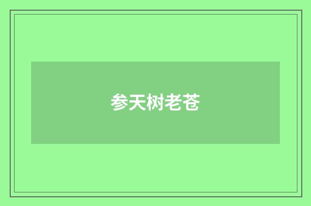 参天树老苍