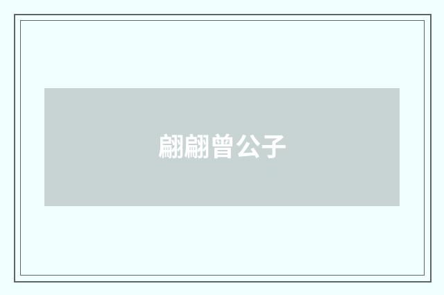 翩翩曾公子