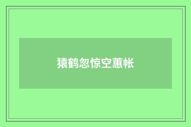 猿鹤忽惊空蕙帐